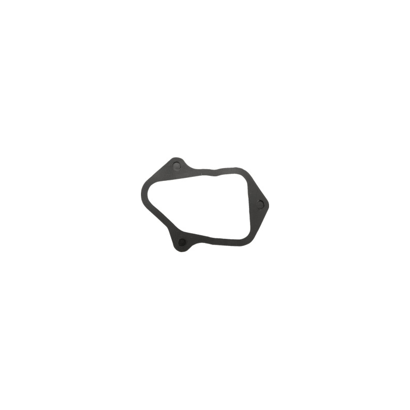 Briggs & Stratton - Joint Briggs et Stratton - 84006588