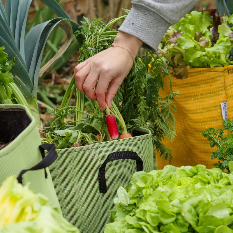 Bourgeon - Sac pour plantations respirant 20 cm Bleu - Bourgeon - Image 3