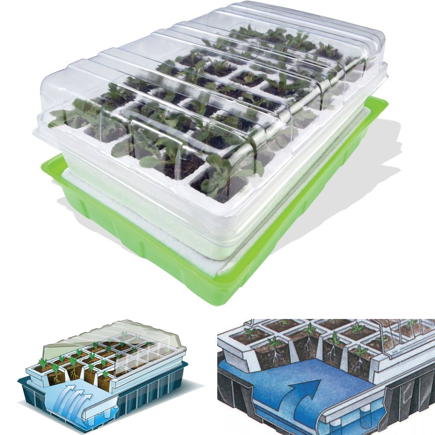 Outiror - Kit de Germination 40 Godets - pour Réussir Vos