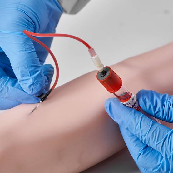 VEVOR Bras entraînement perfusion IV en PVC. Haute simulation, sac transport. Pour étudiants, infirmières. - Image 8