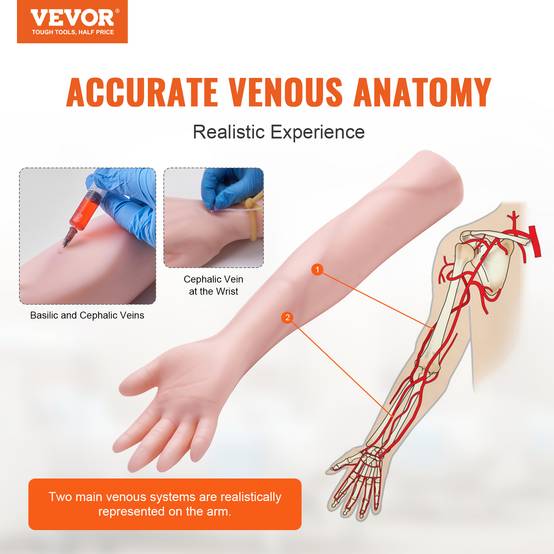 VEVOR Bras entraînement perfusion IV en PVC. Haute simulation, sac transport. Pour étudiants, infirmières. - Image 2