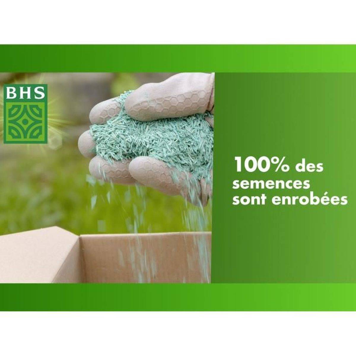 BHS - Semences de gazon rustique du Sud, engrais organique, 1 kg, 40 m² - BHS - Image 4