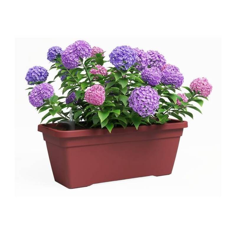 Jardiniere - Plastique - Rouge Foncé� - Rectangulaire - L77,9 X P24 X H22cm - Artevasi - Image 2