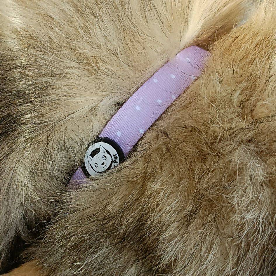 Collier réglable, rembourré et résistant - Lilas – On se la Pet - Image 3