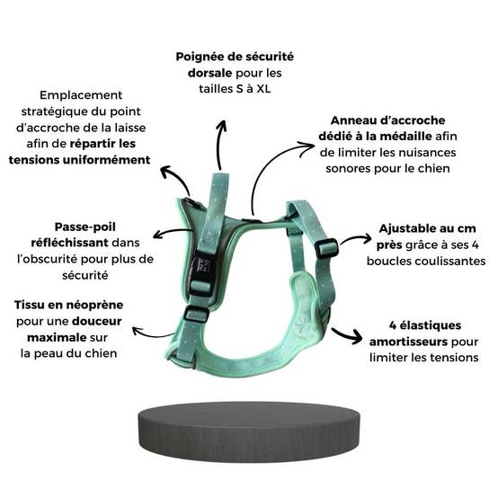 Harnais Premium pour chien confortable – Vert Pastel – On se la Pet - Image 5