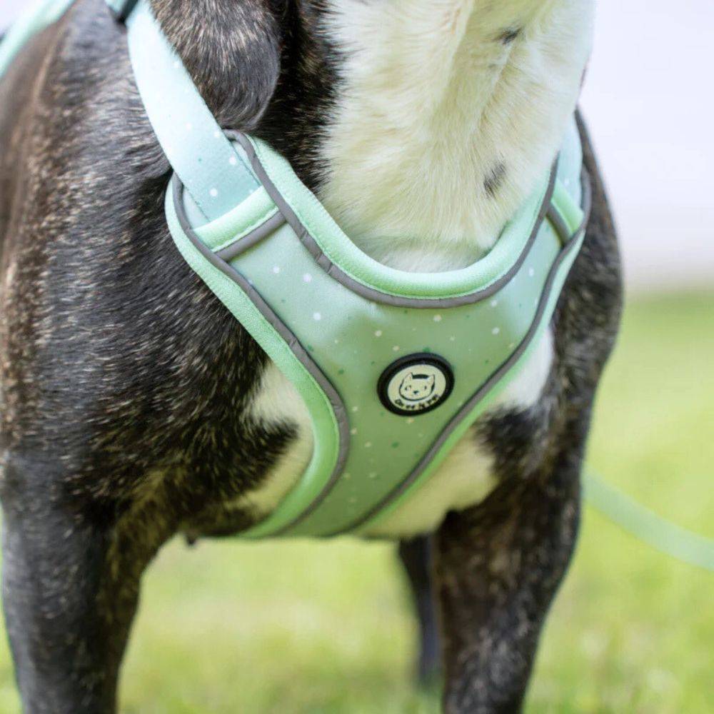 Harnais Premium pour chien confortable – Vert Pastel – On se la Pet - Image 2
