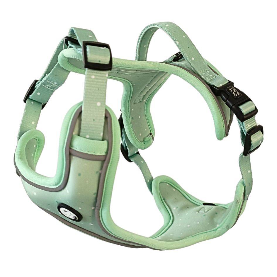 Harnais Premium pour chien confortable – Vert Pastel – On se la Pet - Image 1