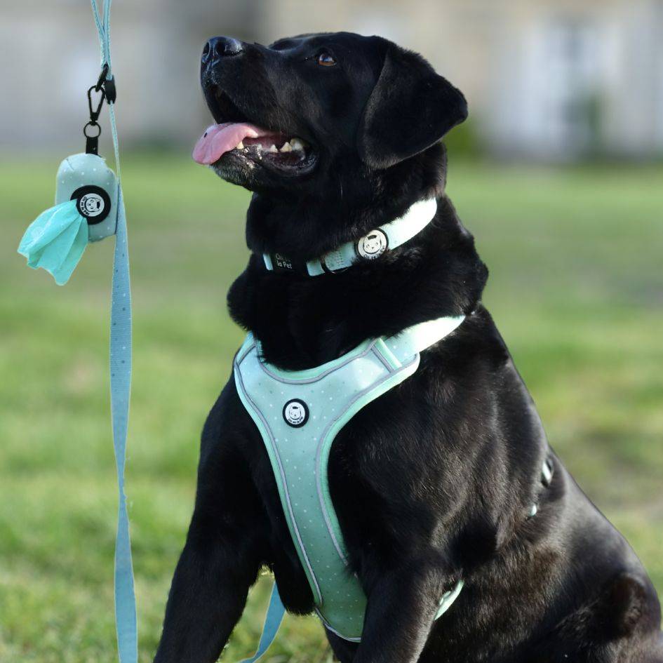 Harnais Premium pour chien confortable – Vert Pastel – On se la Pet - Image 6
