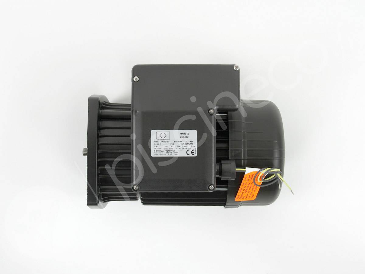 Moteur pour pompes Ultraflow, Whisperflow et Superflo 1,50 CV Mono - Pentair - Image 2