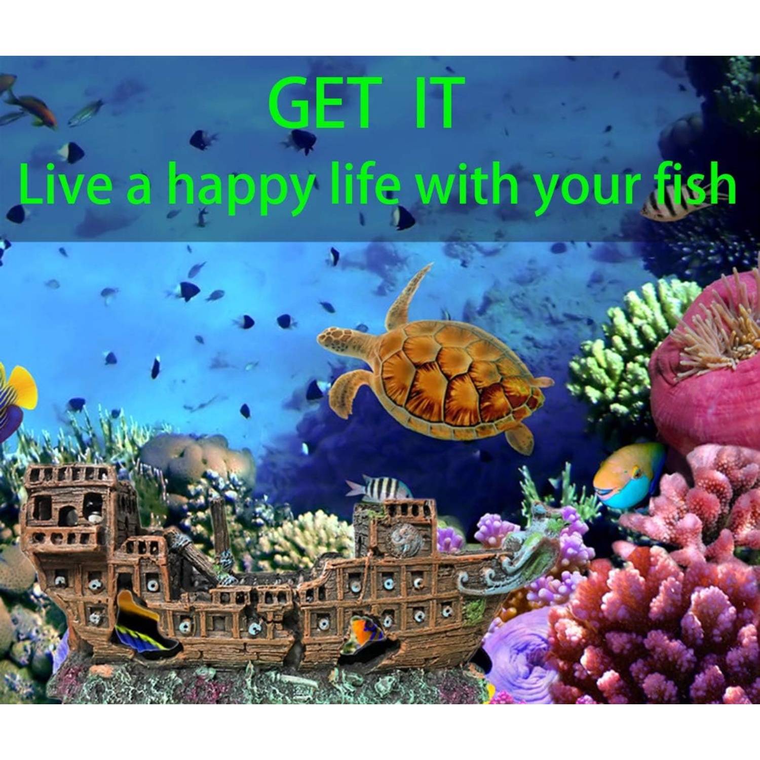 Décor Aquarium Résine  DtopbuyAge - Image 5