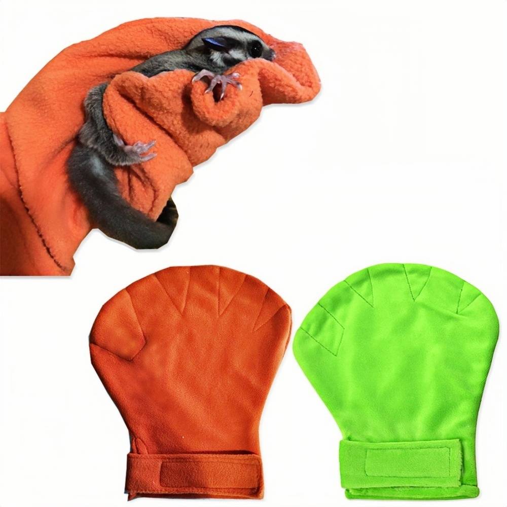 DtopbuyAge - Anti-morsure pour sugar glider DtopbuyAge - Image 1