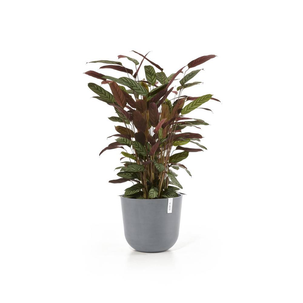 Ecopots - Pot Rond Oslo 35 Bleu Gris - Ø 35 x H. 30,5 cm - 21,7 L ECOPOTS