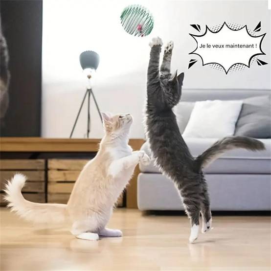 Ensemble de jouets souris en peluche DtopbuyAge - Image 4