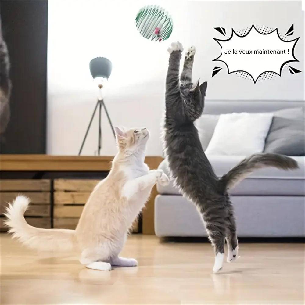 Ensemble de jouets souris en peluche DtopbuyAge - Image 4