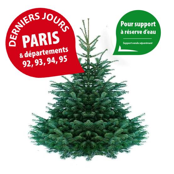 Sapin de Noël Nordmann naturel 110-130 cm pied percé - Image 1