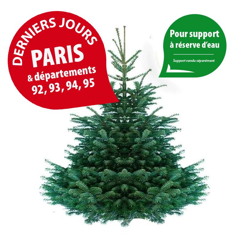 Sapin de Noël Nordmann naturel  110-130 cm pied percé - Image 1