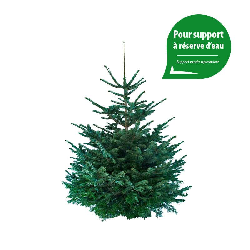 Sapin de Noël Nordmann naturel  110-130 cm pied percé - Image 2