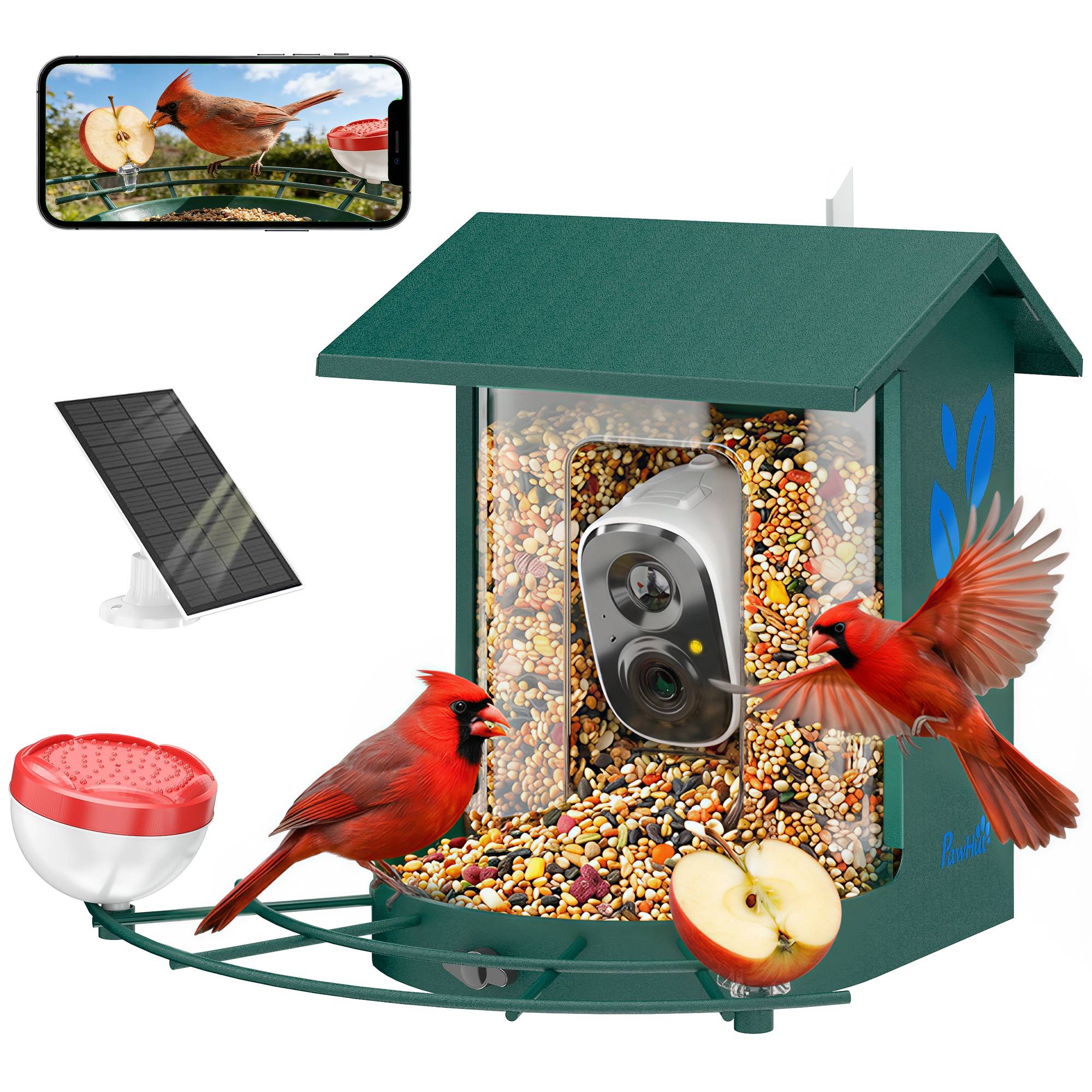 Sans Marque - Mangeoire à Oiseaux avec Caméra 2K Solaire 2,5L 142°, Identification IA 16000+, App, IP65, SD 32 Go, 30x34,5x26,3cm Vert