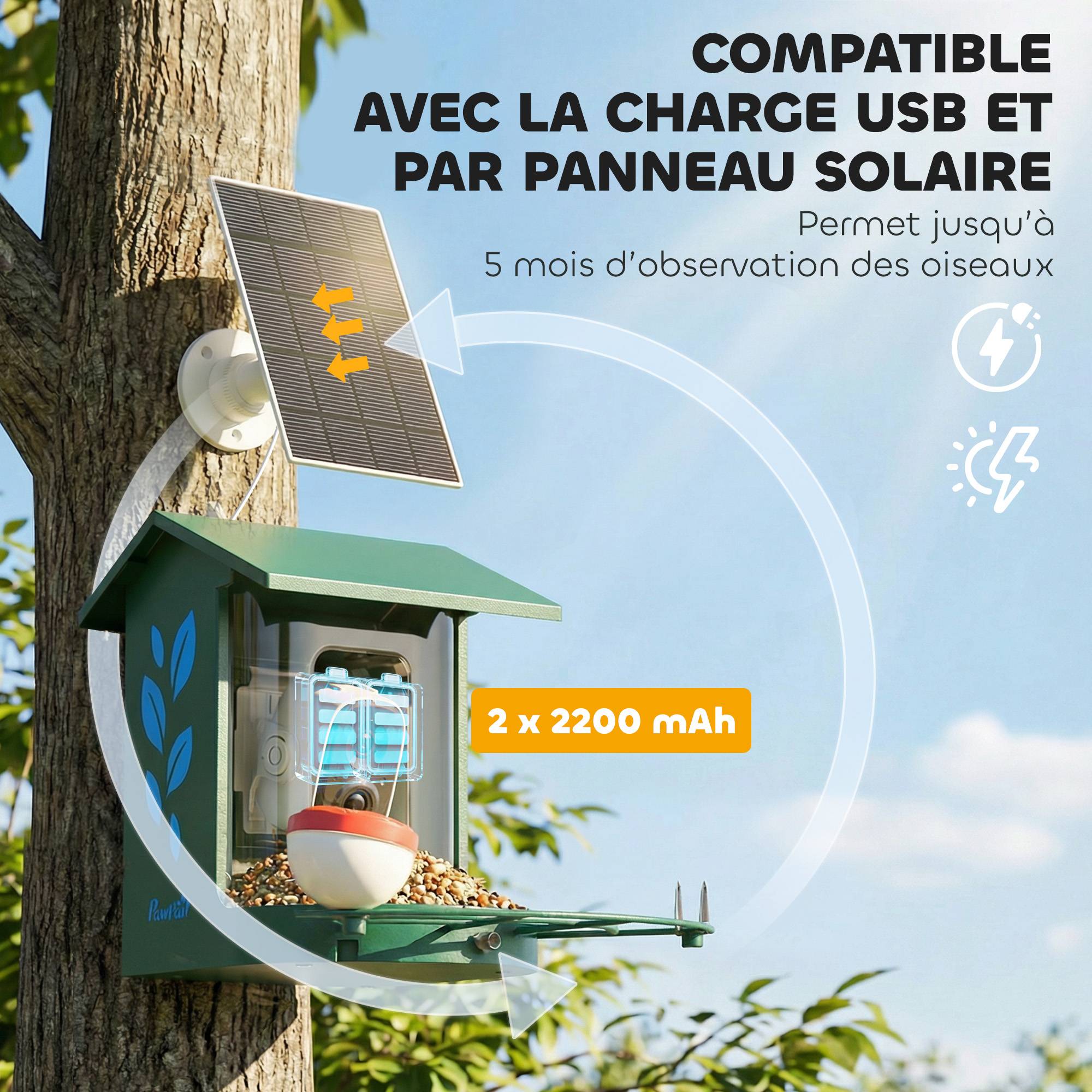 Sans Marque - Mangeoire à Oiseaux avec Caméra 2K Solaire 2,5L 142°, Identification IA 16000+, App, IP65, SD 32 Go, 30x34,5x26,3cm Vert - Image 10