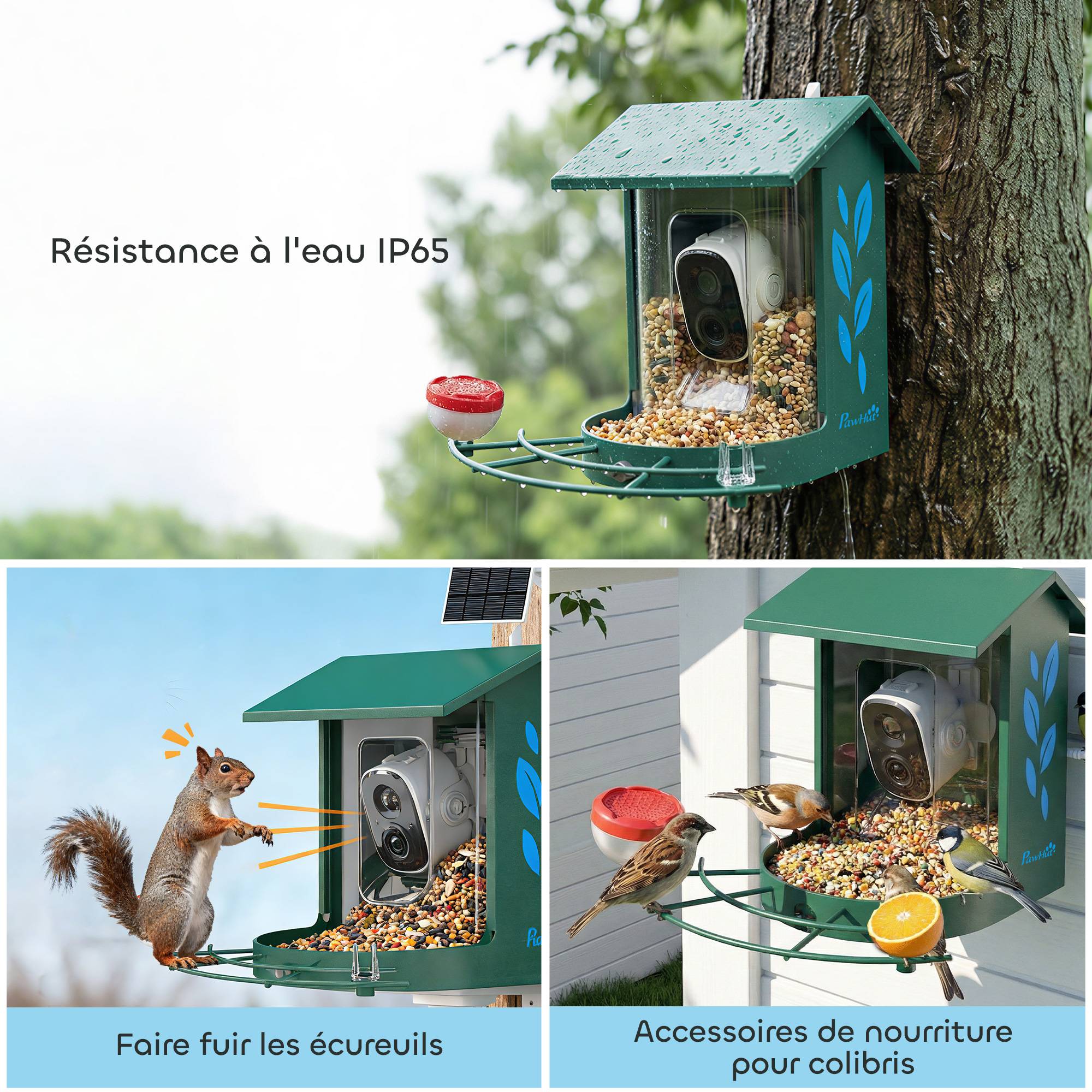 Sans Marque - Mangeoire à Oiseaux avec Caméra 2K Solaire 2,5L 142°, Identification IA 16000+, App, IP65, SD 32 Go, 30x34,5x26,3cm Vert - Image 9