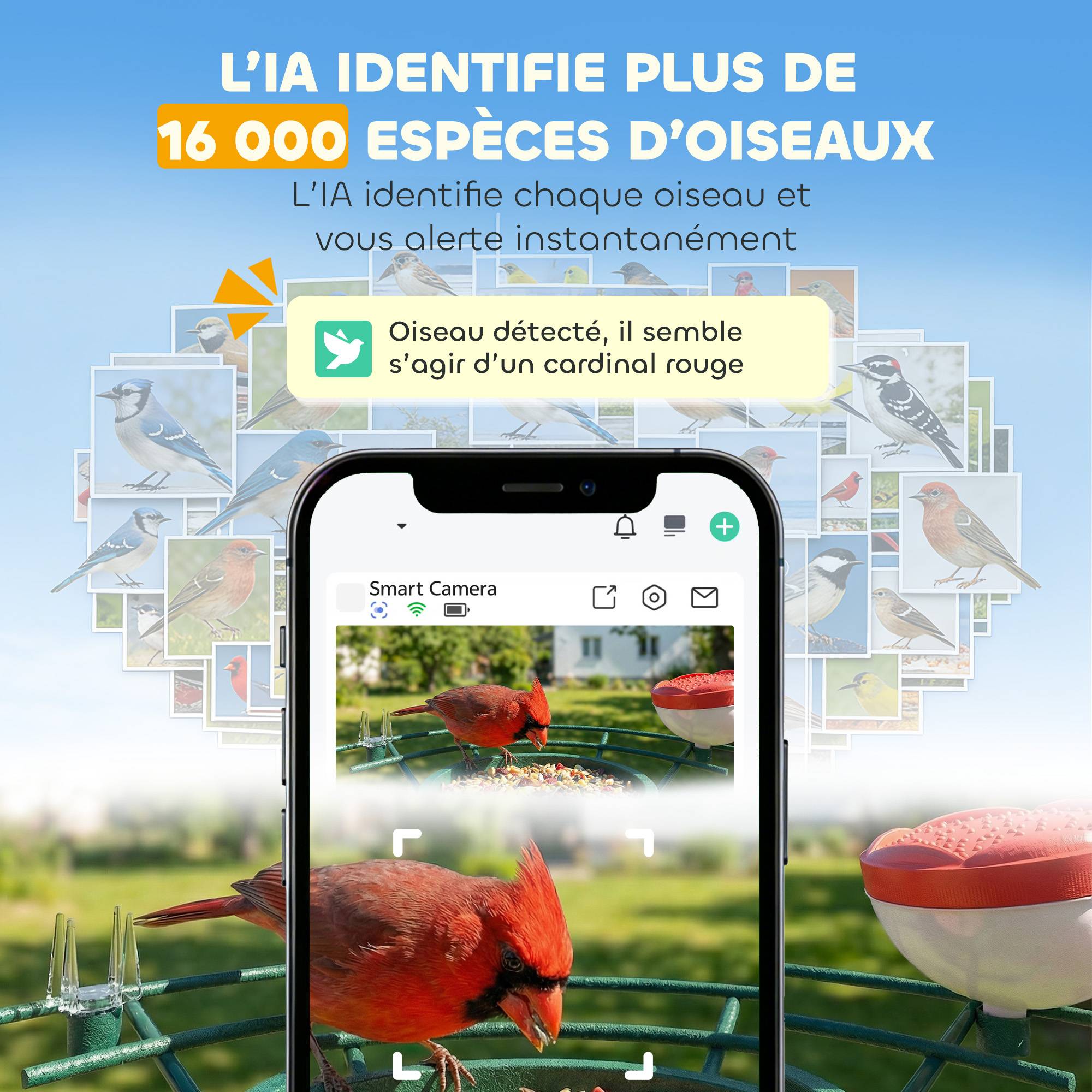 Sans Marque - Mangeoire à Oiseaux avec Caméra 2K Solaire 2,5L 142°, Identification IA 16000+, App, IP65, SD 32 Go, 30x34,5x26,3cm Vert - Image 6