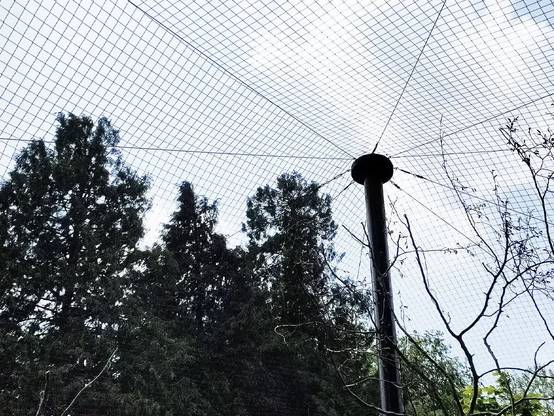Filet de volière - Maille de 50mm Noir 21 x 20m - Image 4
