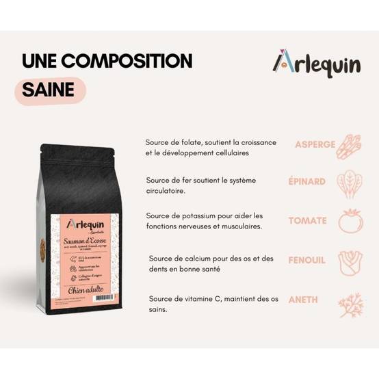 CROQUETTE CHIEN SUPERFOOD SANS CÉRÉALES ARLEQUIN IRRÉSISTIBLE Saumon d'Ecosse 12 kg - Image 2