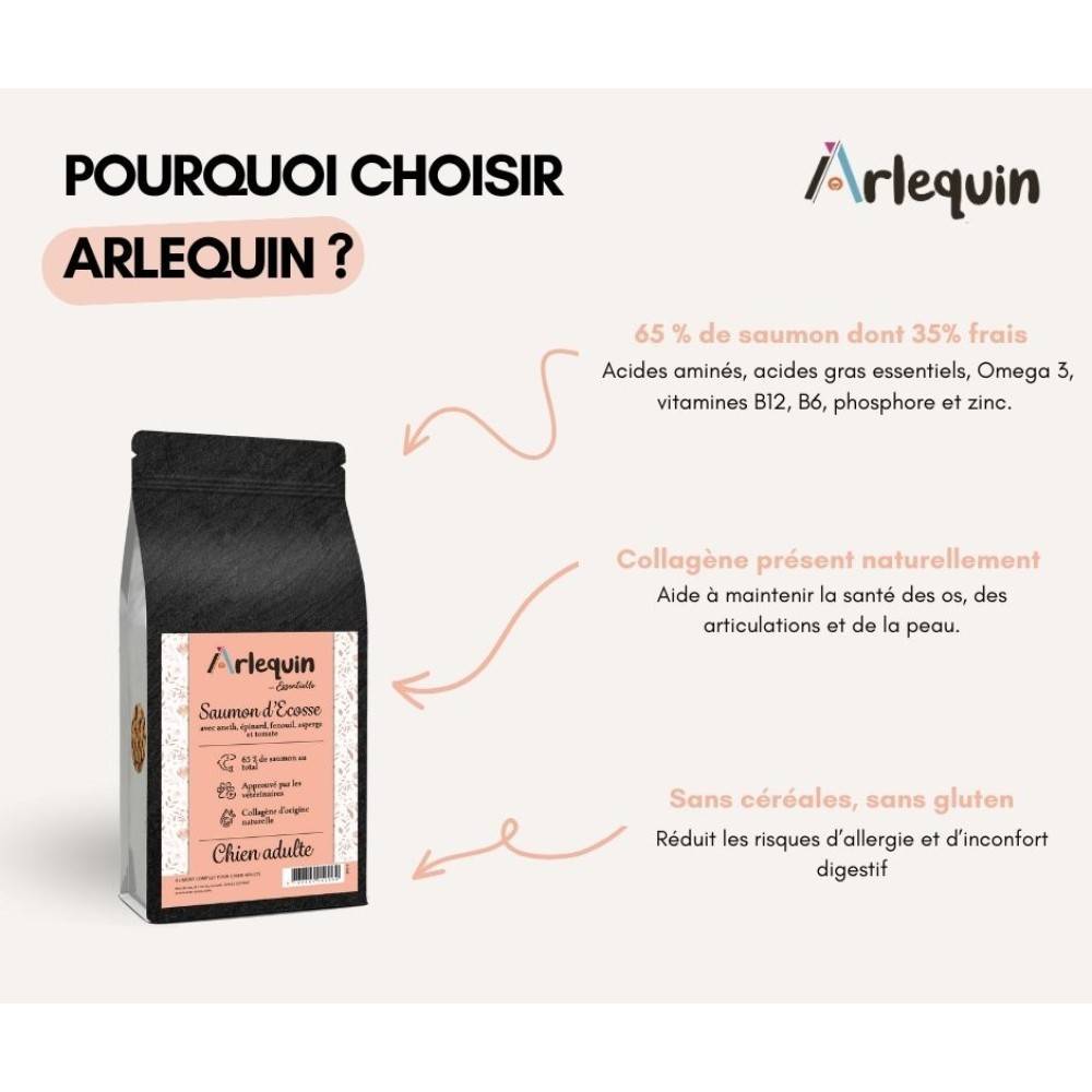 CROQUETTE CHIEN SUPERFOOD SANS CÉRÉALES ARLEQUIN IRRÉSISTIBLE Saumon d'Ecosse 12 kg - Image 3