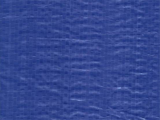 Bâche de protection 100g avec oeillets - Bleu 10m x 6m Bleu