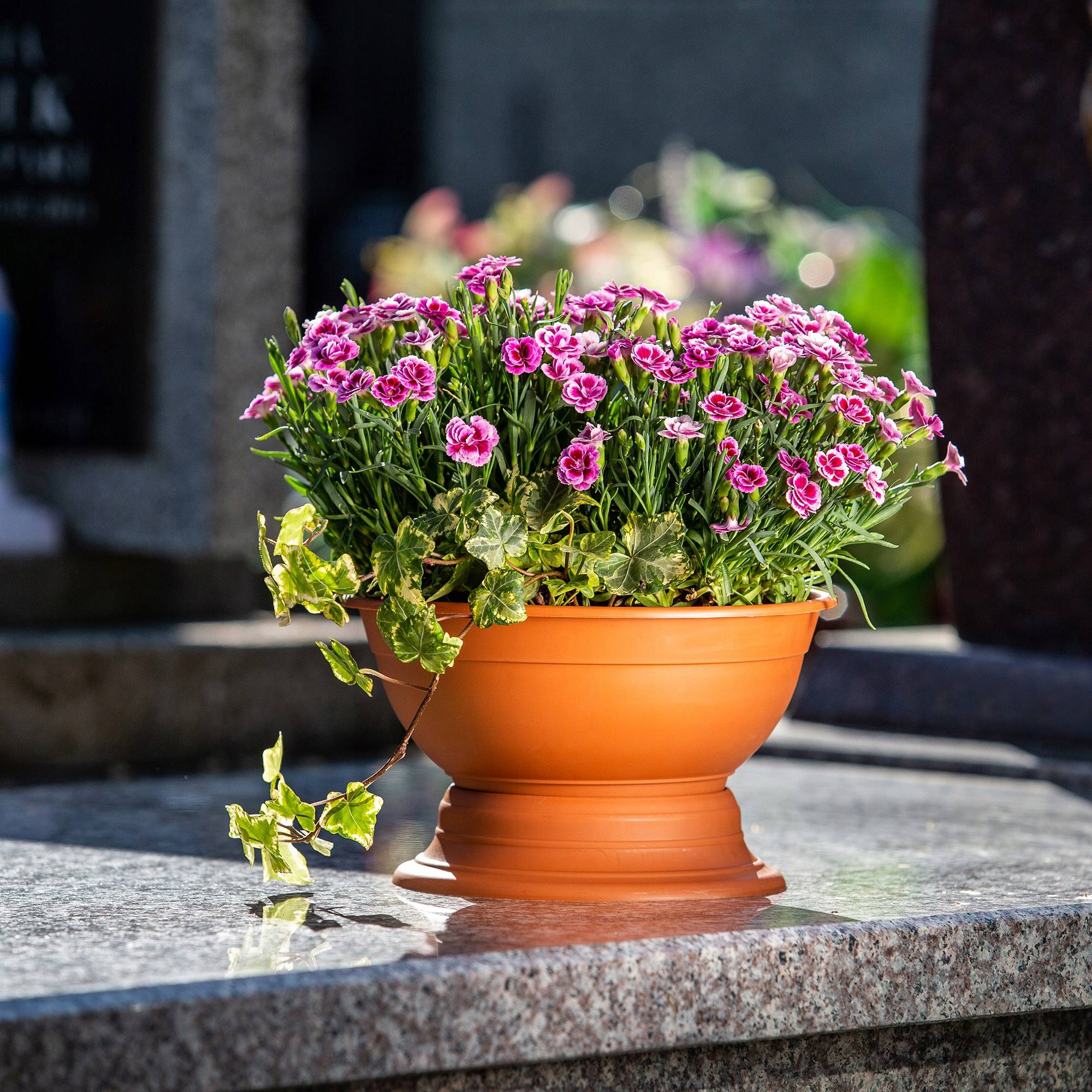 Pot à fleurs avec pied - En plastique résistant aux intempéries - Diamètre: 18 cm - Couleur terre - Image 4