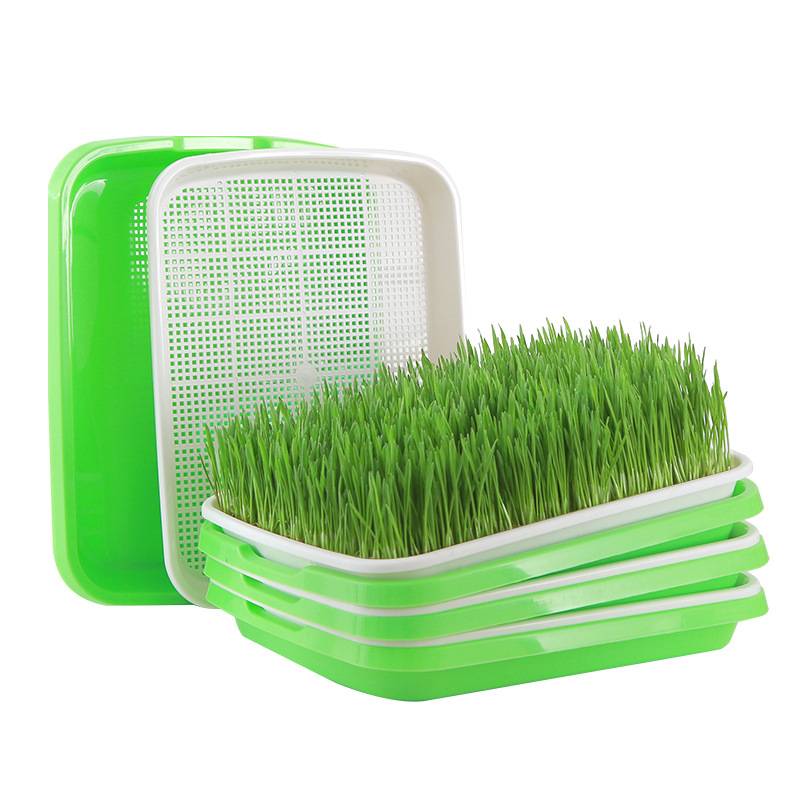 IntiMeg - Lot de 5 Plateau de germination avec trous de drainage - IntiMeg - Image 1