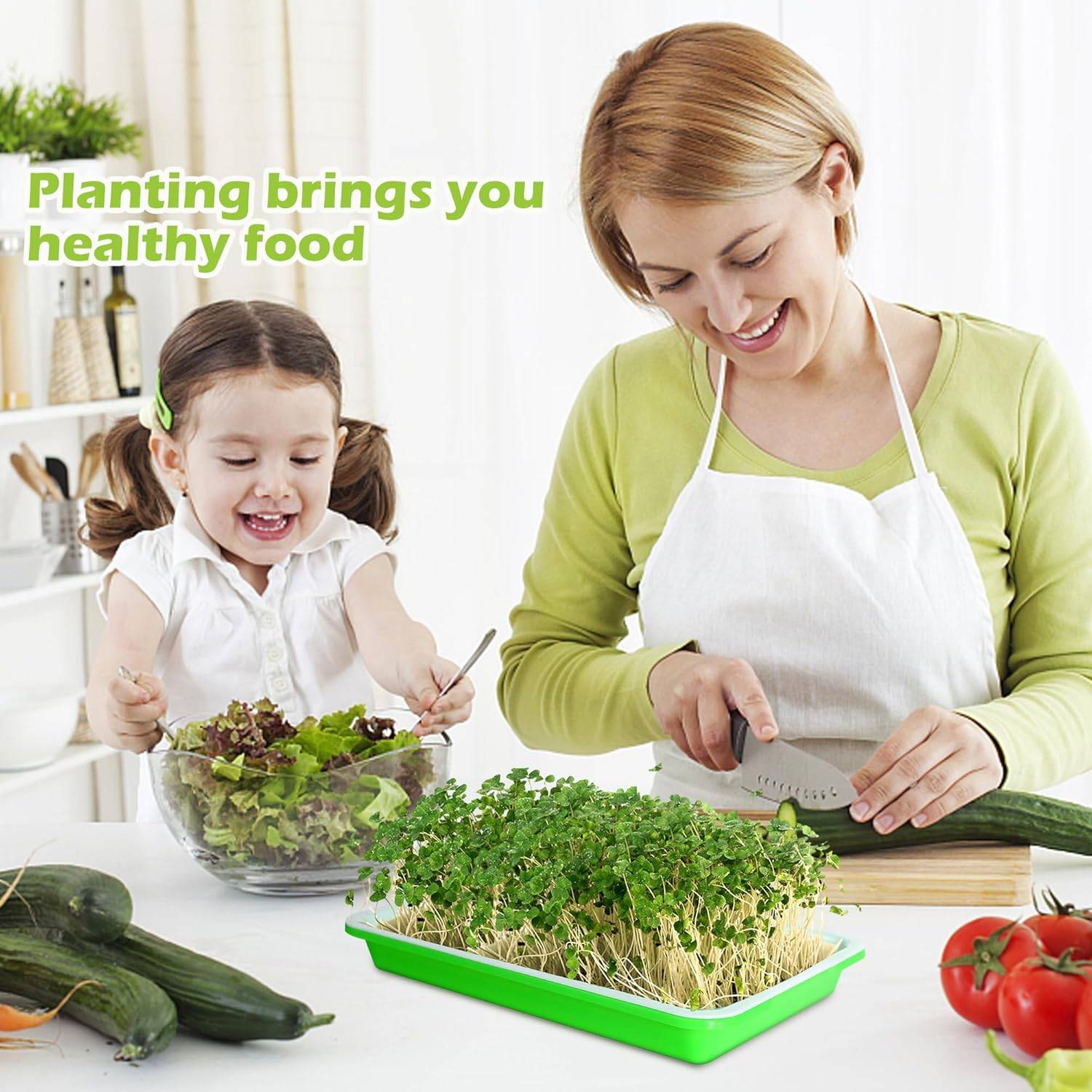 IntiMeg - Lot de 5 Plateau de germination avec trous de drainage - IntiMeg - Image 4