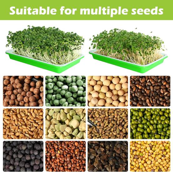 IntiMeg - Lot de 5 Plateau de germination avec trous de drainage - IntiMeg - Image 3
