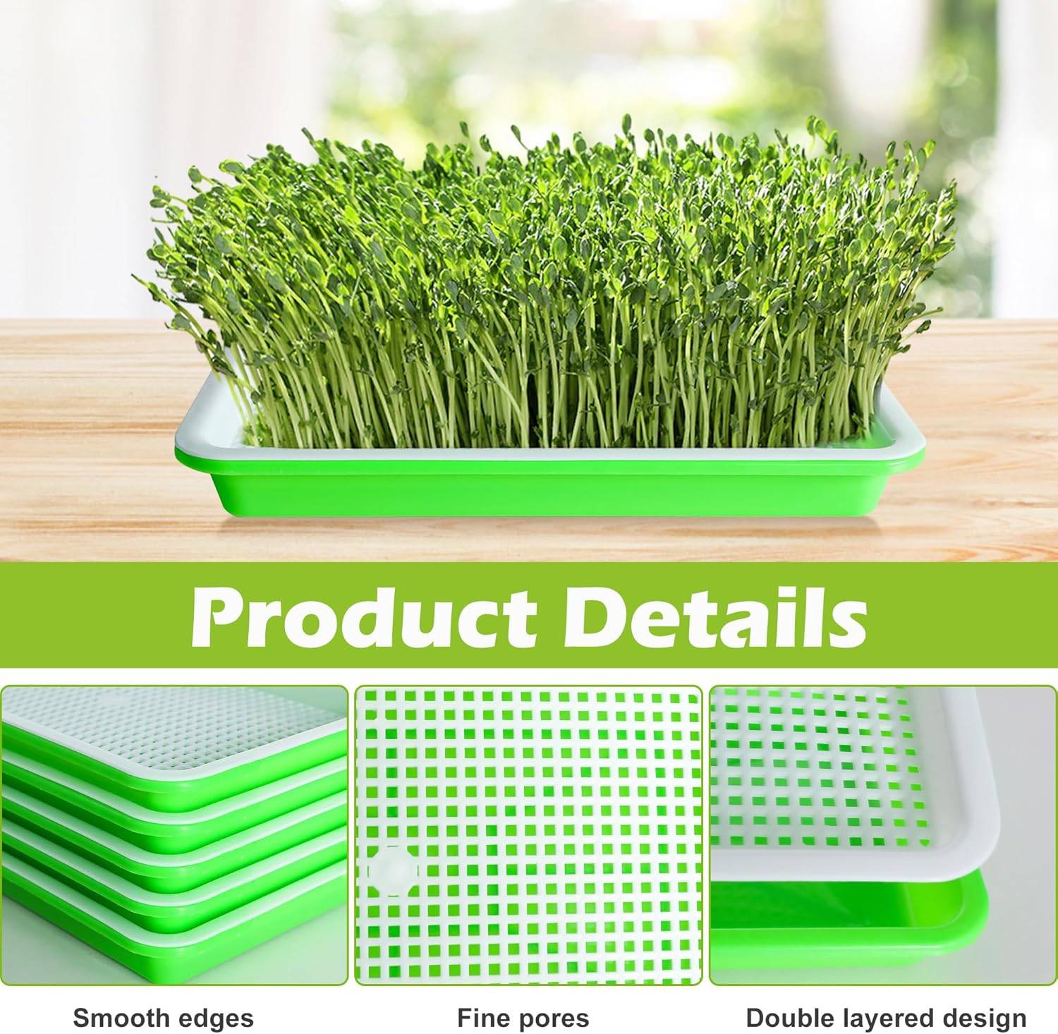 IntiMeg - Lot de 5 Plateau de germination avec trous de drainage - IntiMeg - Image 2