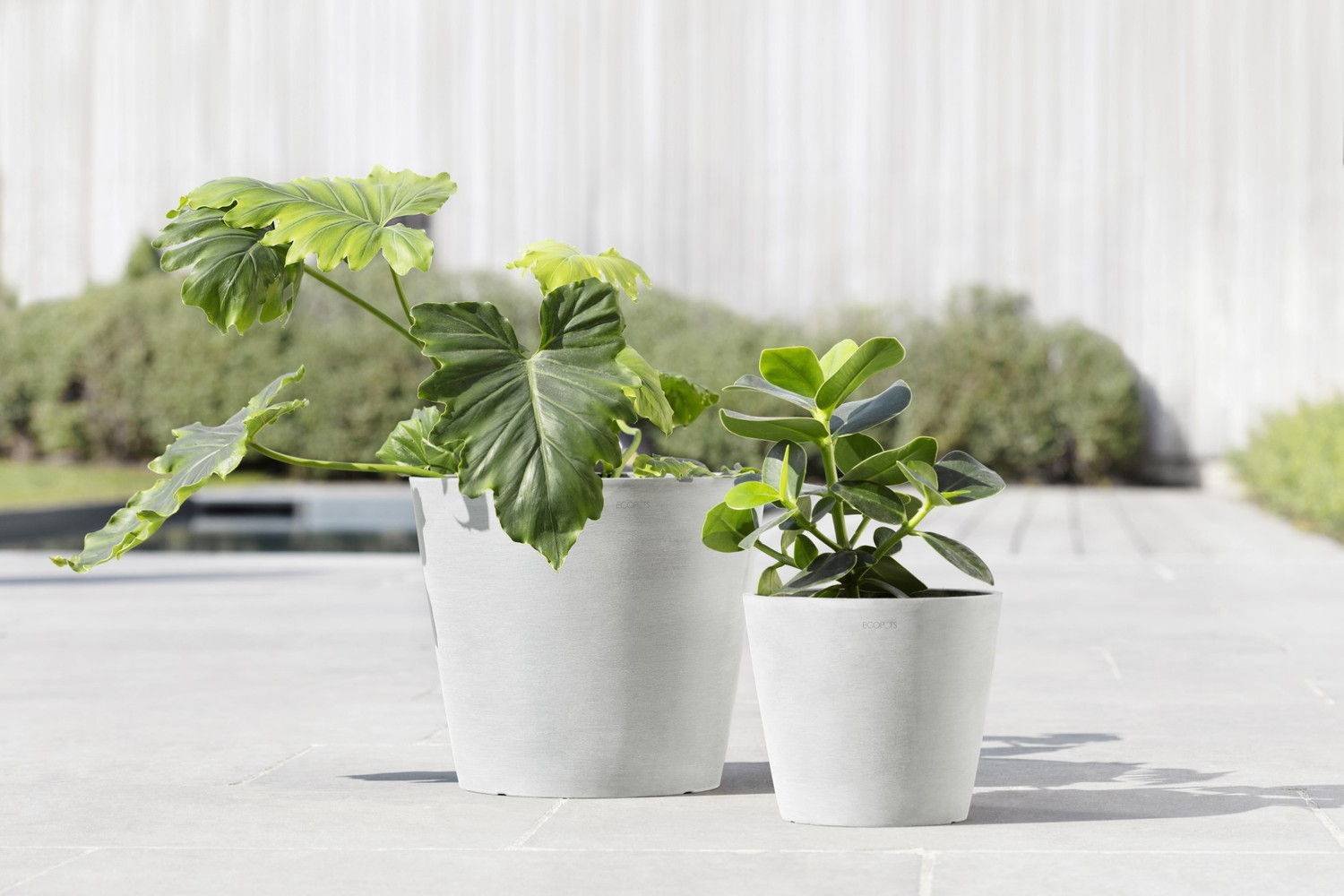 Ecopots - Pot Rond Amsterdam 30 Blanc Pur - Ø 30 x H. 26,3 cm - 12,8 L ECOPOTS - Image 5