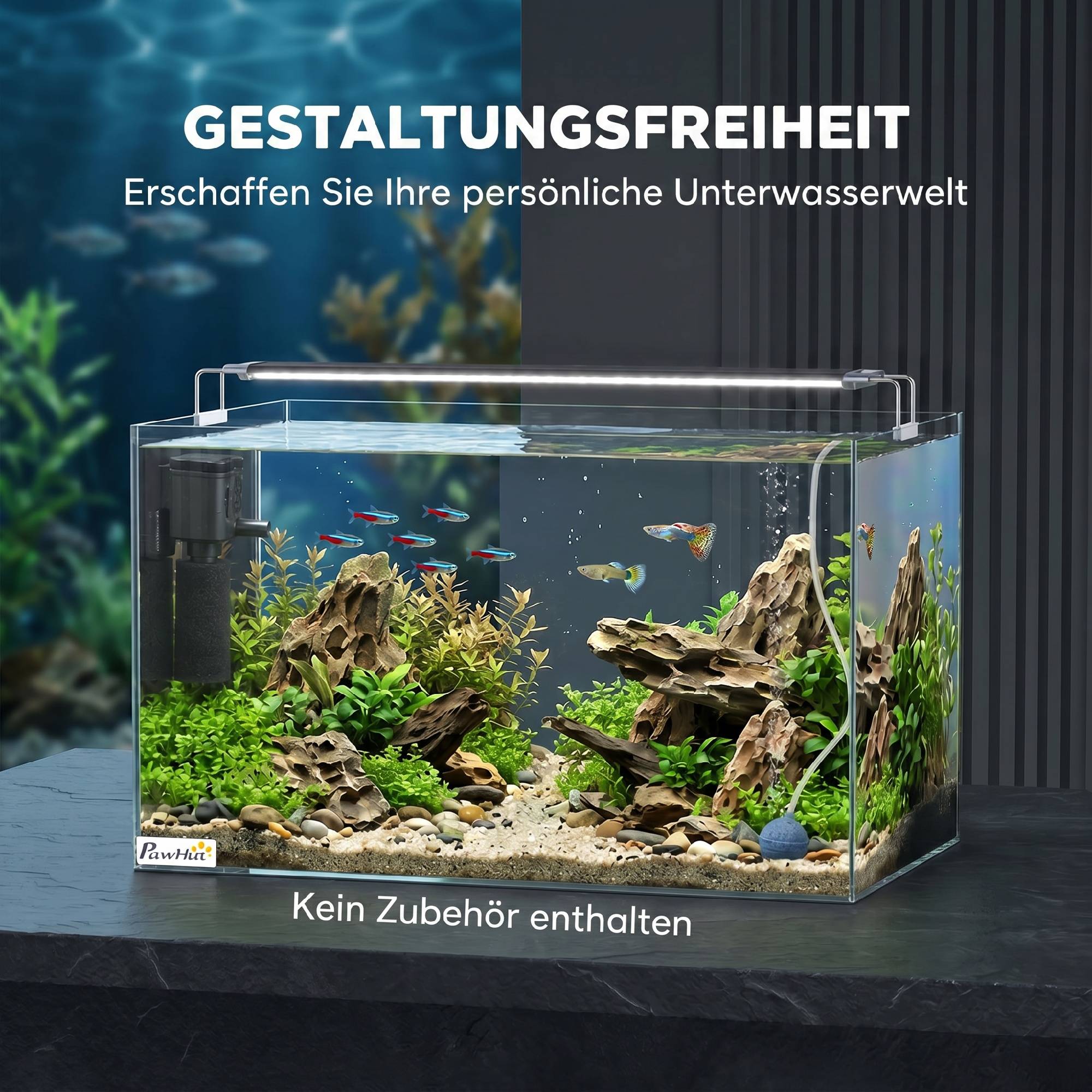 ComfortXL - Aquarium 43 L verre trempé 50 x 30 x 30 cm transparent poissons crevettes tortues - ComfortXL Outdoor Living - Image 5