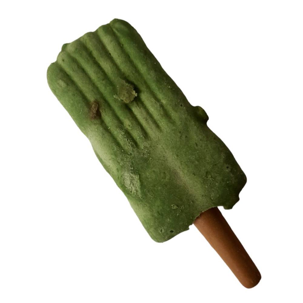 Trixie - Trixie - Snack friandise Ice POP pomme vert 55 g pour chien - Image 1