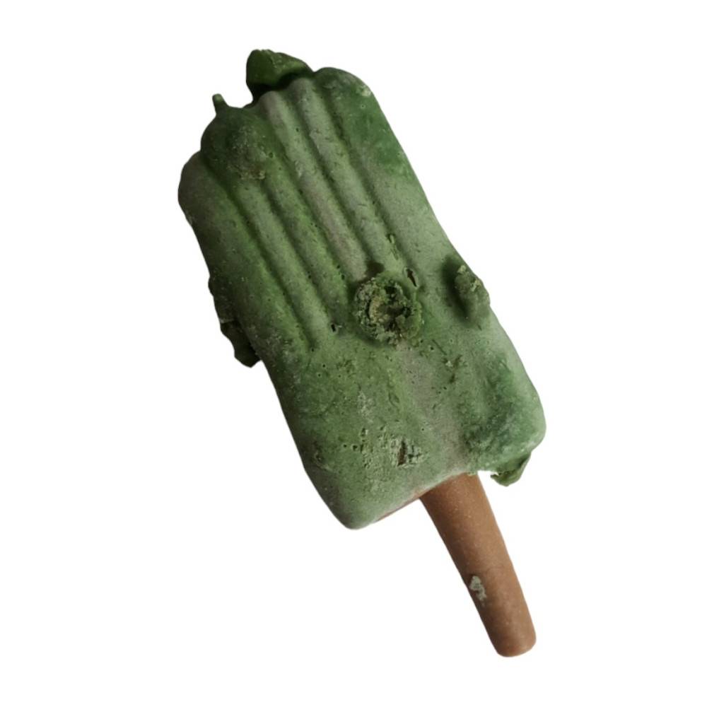 Trixie - Trixie - Snack friandise Ice POP pomme vert 55 g pour chien - Image 2