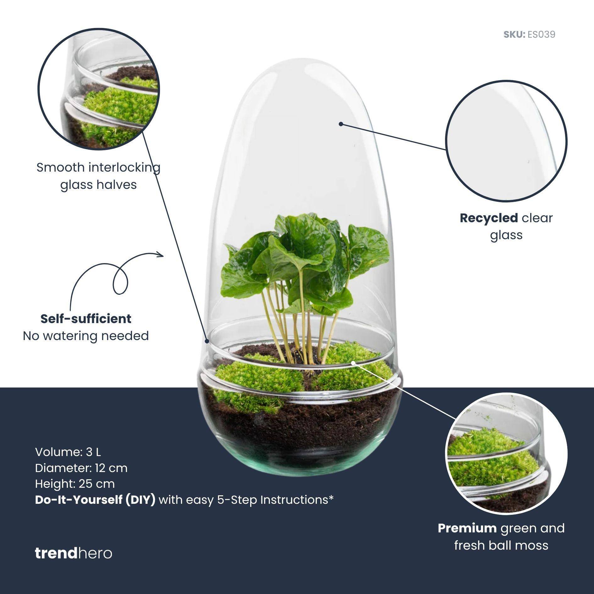 Terrarium à composer œuf en verre recyclé - Ø12-H25cm - sans outils - caféier - Terrarium DIY - Image 2