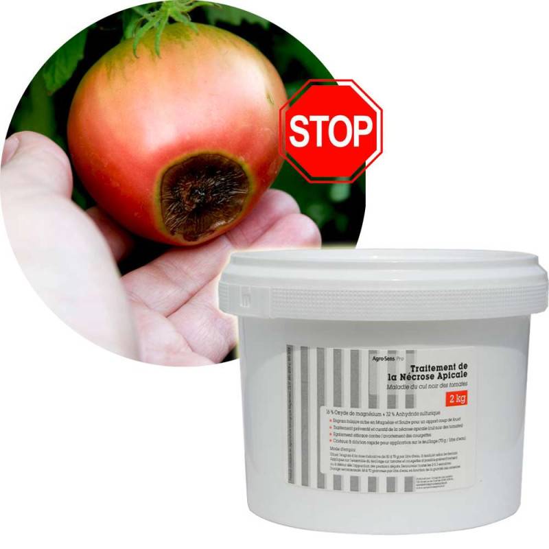 Traitement de la nécrose apicale ou cul noir des tomates - Agro Sens - Seau 5 kg - Image 3