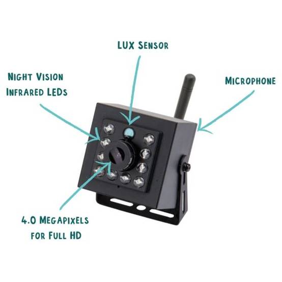 Nestera - Nichoir avec caméra WiFi - Image 3