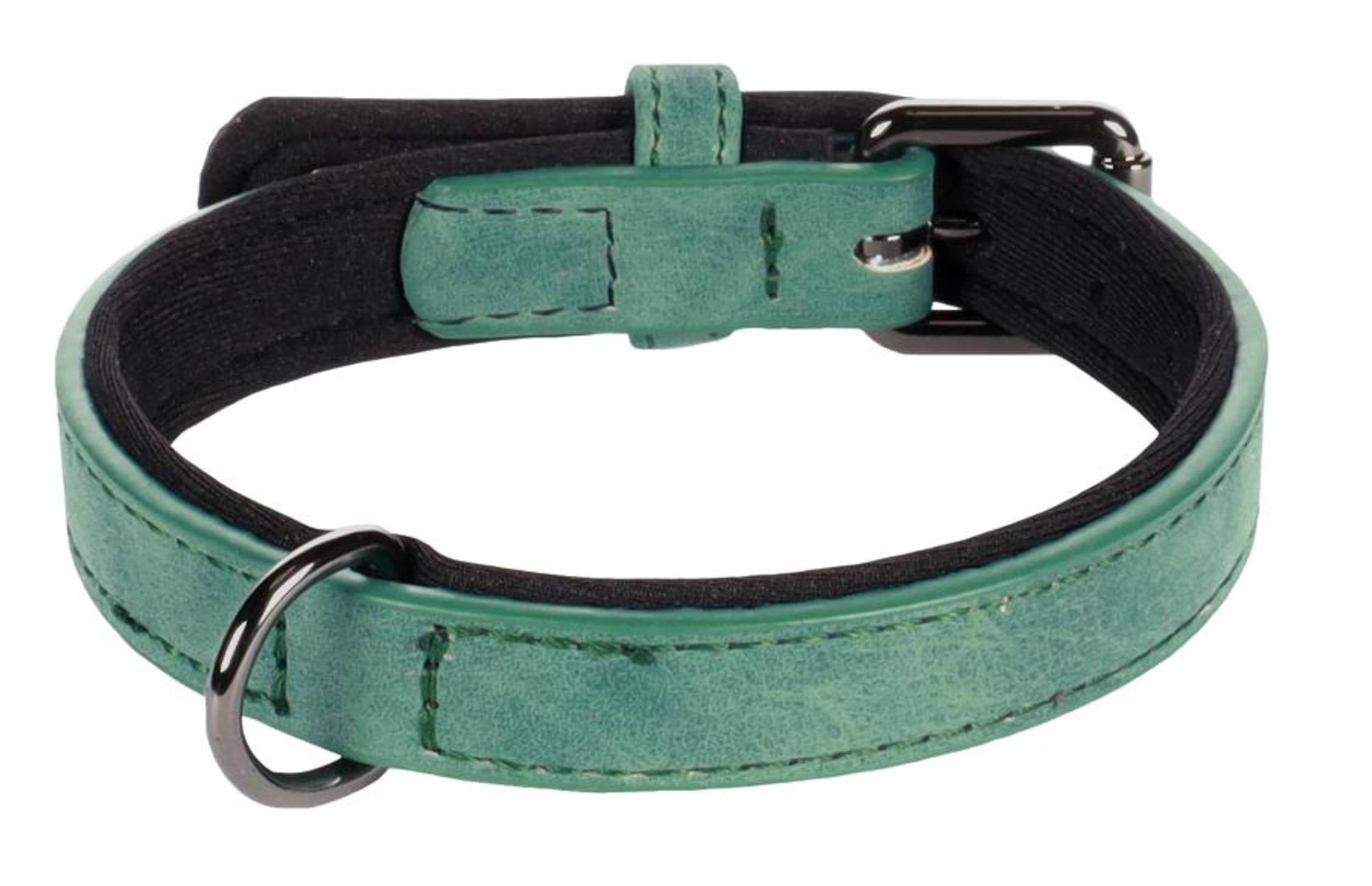 Eden - Collier pour chien avec doublure néoprène XS / S 24-30cm 15mm vert - Image 1