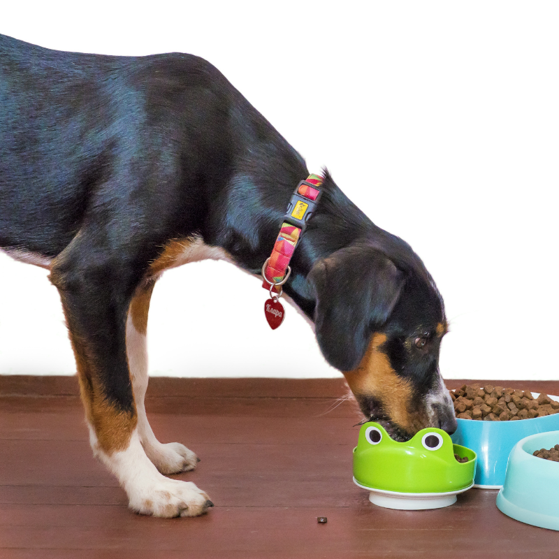 Carnilove - Carnilove - Croquettes Sans Cérales True Fresh au Boeuf pour Chien - Image 3