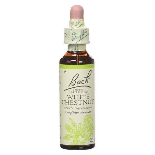 White Chestnut -  Fleurs de Bach n°35 Fleur de Bach