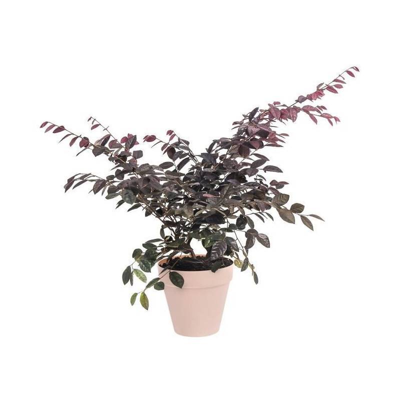 Elho - Elho Pot De Fleurs Rond Loft Urban - ø 30 Cm - Fruits Rouges - Image 2