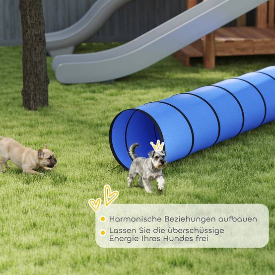 Tunnel d'agilité pour chien tissu Oxford bleu 300 x 50 x 50 cm - PANGIVO - Image 9