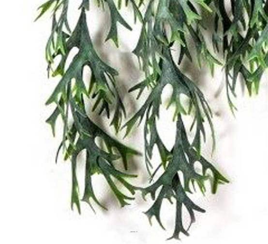 Chute de staghorn artificiel L 80 cm vert - Image 3