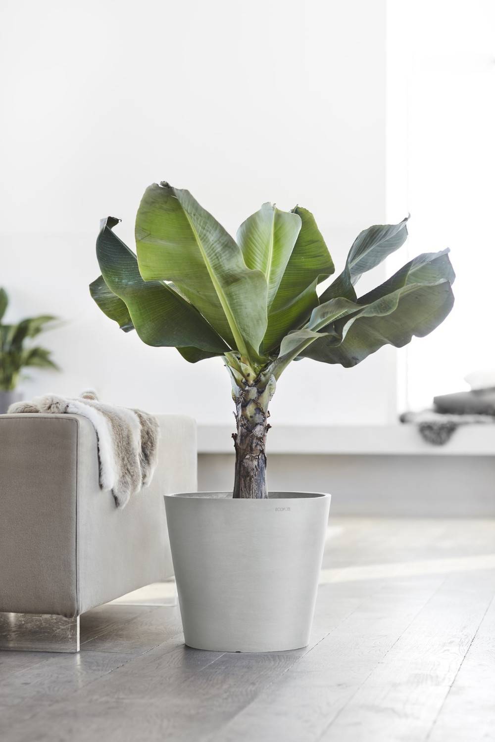 Ecopots - Pot Rond Amsterdam 40 Blanc Gris - Ø 40 x H. 35 cm - 28 L ECOPOTS - Image 5