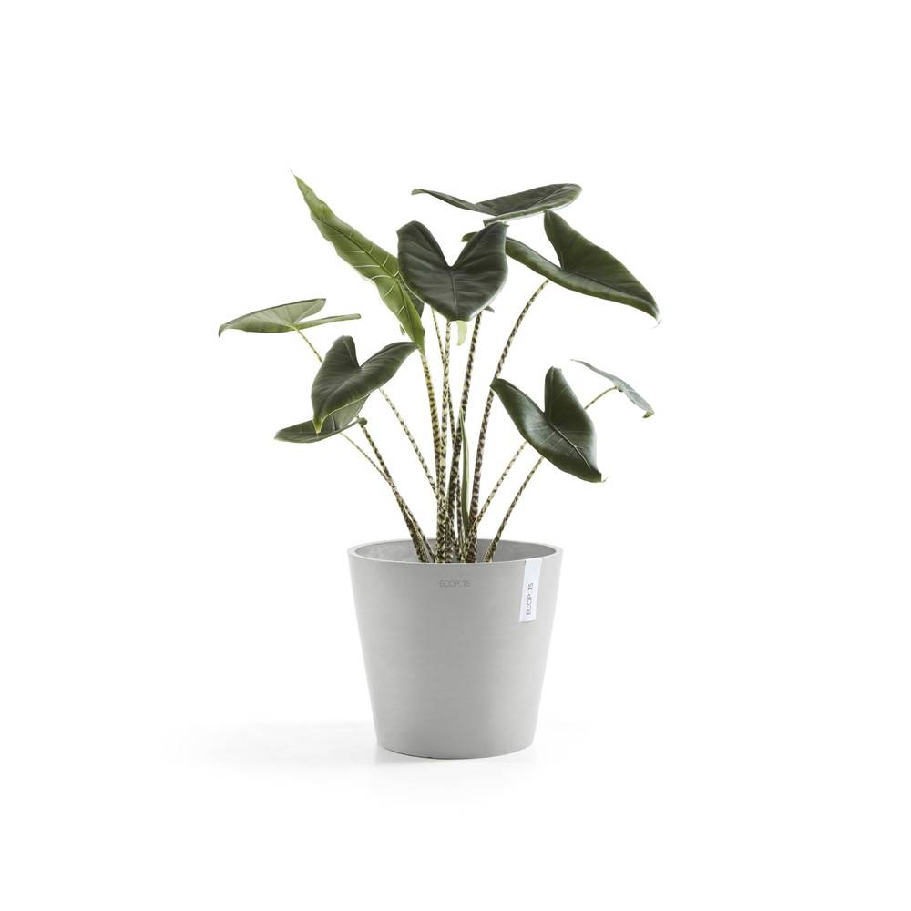 Ecopots - Pot Rond Amsterdam 40 Blanc Gris - Ø 40 x H. 35 cm - 28 L ECOPOTS - Image 2