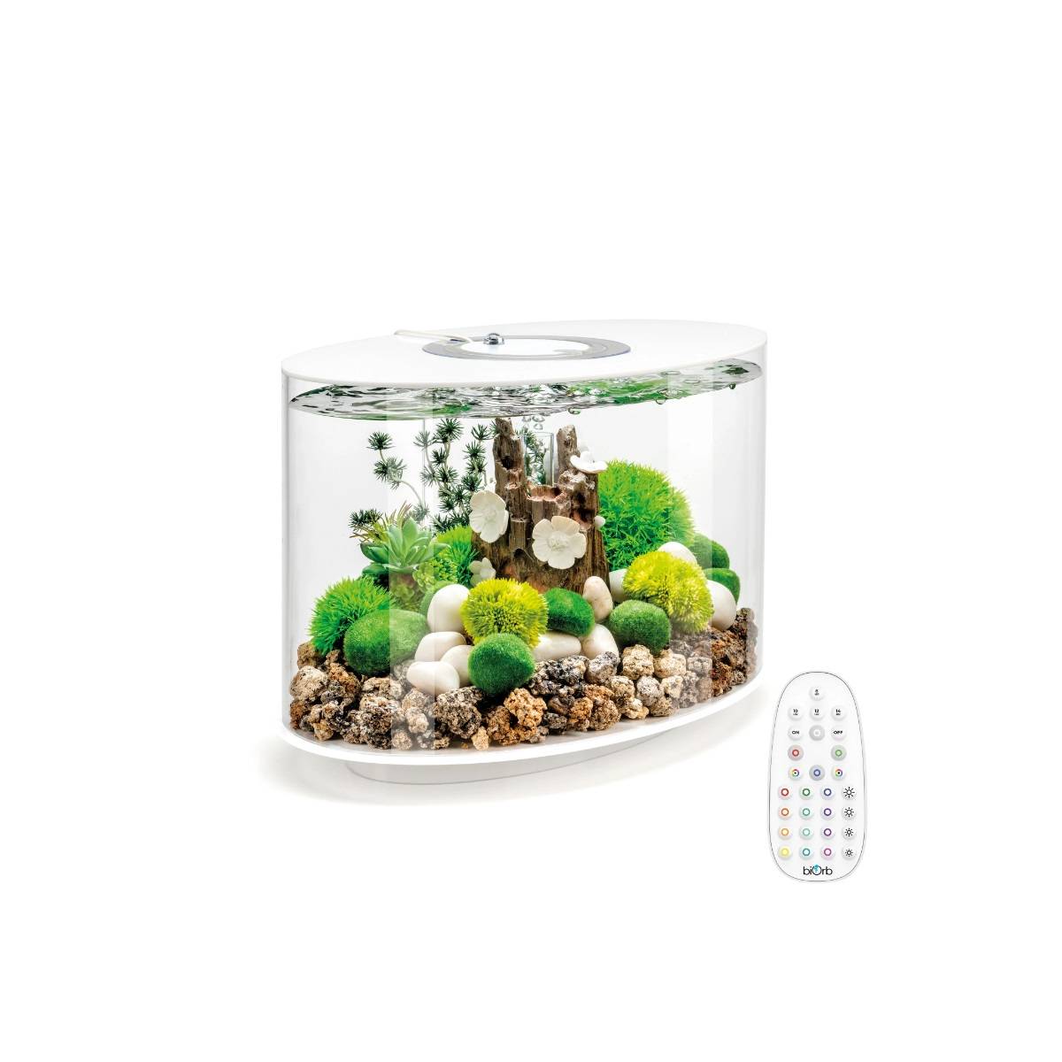 Oase - Aquarium long 15l contours blanc LOOP 15 MCR WHITE Oase - Image 1